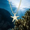 Small Diamond Starfish Pendant - Image 4