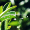 Precious Plumeria Diamond Chain Link Bracelet - Image 4