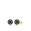 Tahitian Black Pearl Stud Earrings 9mm